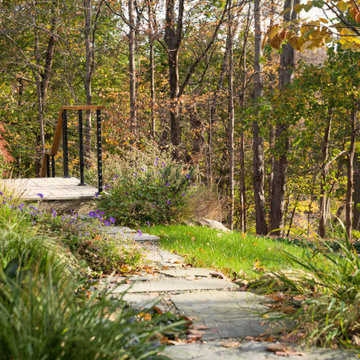 Hillside Overlook