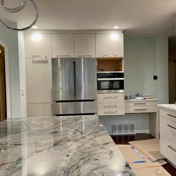 SEATTLE House Remodel