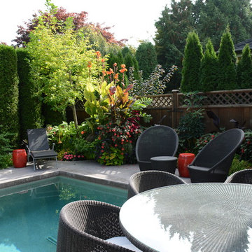 Poolside Garden and Containers