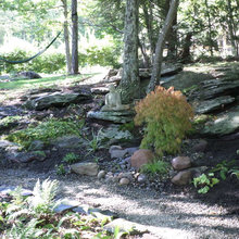Juniper Woods Landscaping