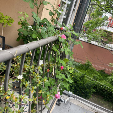 UWS Garden
