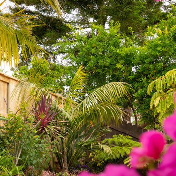 Colorful and Contemplative