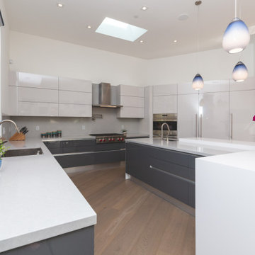 Palo Alto Grey & White Kitchen
