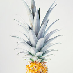 "Pineapple" Art Print by Ez Pudewa - Prints And Posters