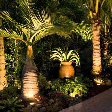Backyard Designs