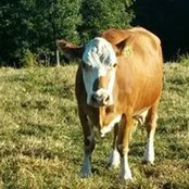 Karla Horton's photo