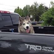 Sam Wickizer's photo