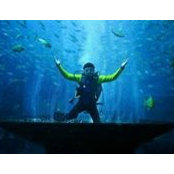 Charly Mendoza's photo