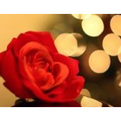 Foto von Sool Alsadah