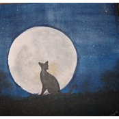 Rosalind Stone's photo
