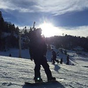 Alex Mohajer's photo
