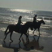 Foto von Dollie EVans