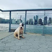 Michael Densmore's photo