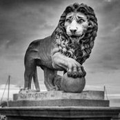 Brooke Wilson's photo