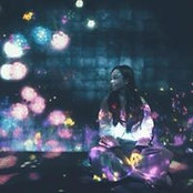 Yan Hoi's photo