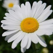 Karen Carll's photo