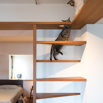 キャットウォーク
