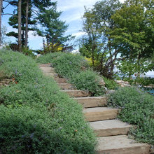 summit yard