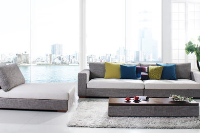 Trendy living room photo in Phoenix