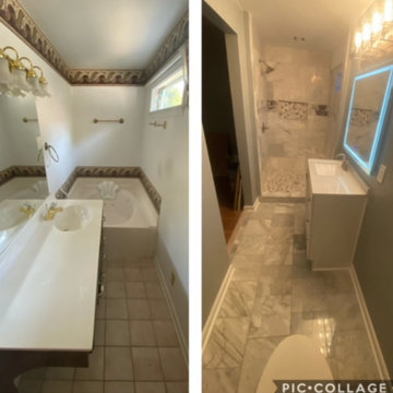 Full Scale Remodel