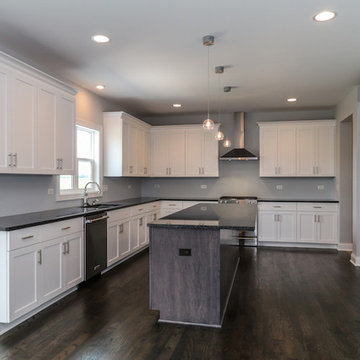 The Hampton Modified | Stewart Ridge Plainfield, IL