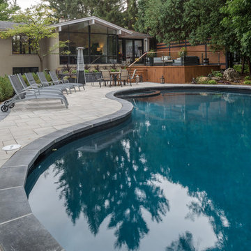 Contemporary Pool Area