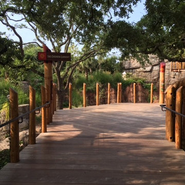 Houston TX Zoo- Ipe