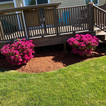 Our Latest Projects