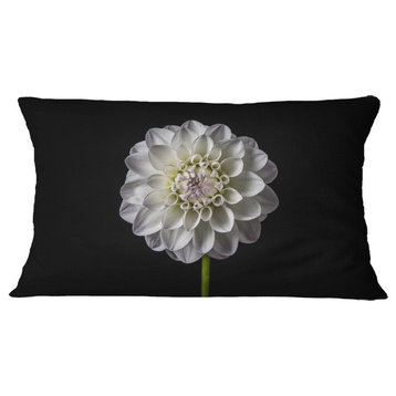 Isolated Dahlia Flower in Black Floral Throw Pillow, 12"x20"