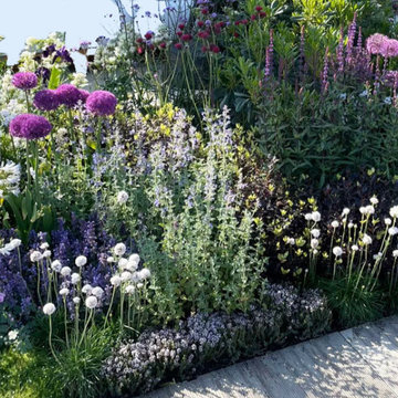 Spring Garden Border