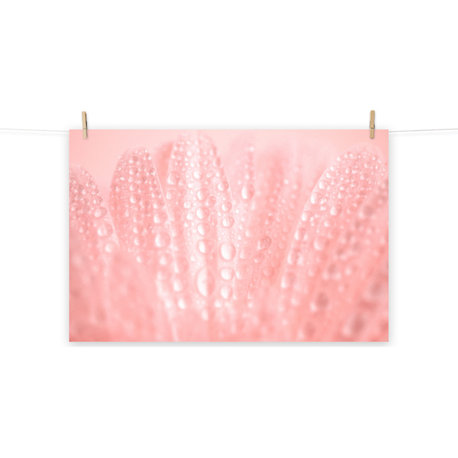 Serenity Floral Botanical Photograph Shabby Chic Vintage Unframed Wall Art print, 11" X 14"