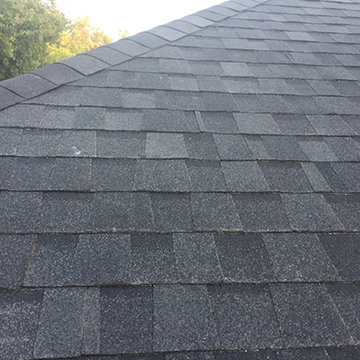 Our Work