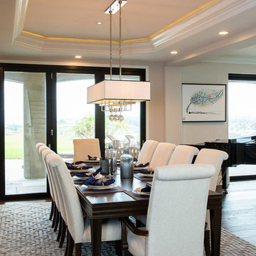 Contemporary Sleek | Scripps Ranch