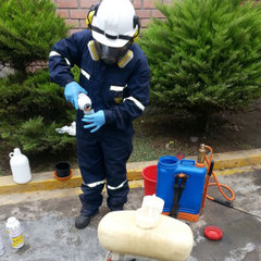 Pest Control Services Dover DE