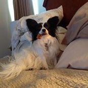 Joyce Cruickshank's photo