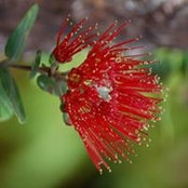 Janet Ewing's photo