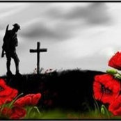 Cheryl Caron's photo