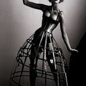 Joanne Massingham's photo