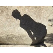 Teri Belli's photo