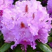 Jane Renzetti's photo