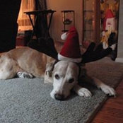 Francine Befano's photo