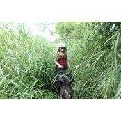 Danica Ayleen's photo