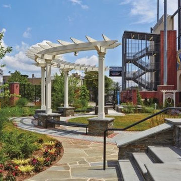 School and University Collaborations