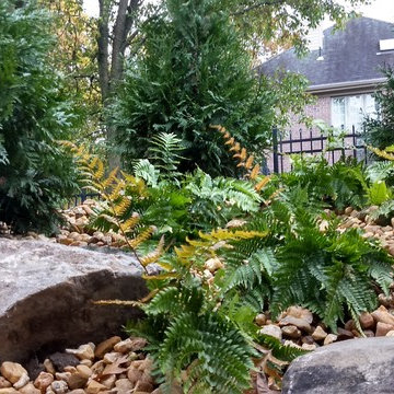 Pool-side Patio & Landscape Renovation