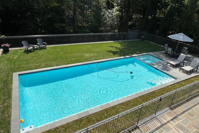 Modelo de piscina actual de tamaño medio rectangular en patio trasero con paisajismo de piscina y adoquines de piedra natural