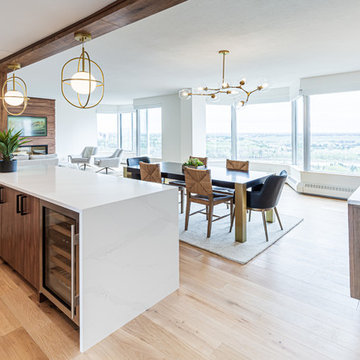 Condo Renovation