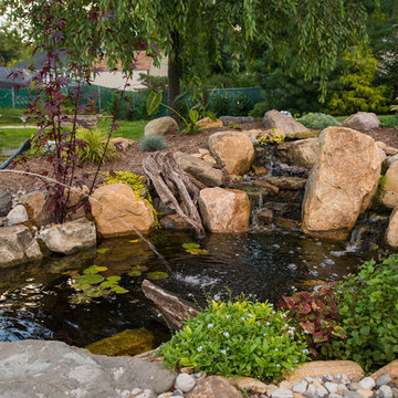 Ecosystem Ponds
