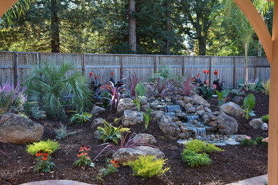 Design ideas for a tropical landscaping in San Francisco.