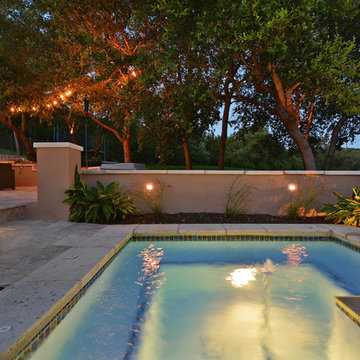 Sleek West Austin