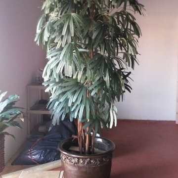 In store pre-designed Arrangements trees and plants @ Accentsilk 15315 Midway Rd